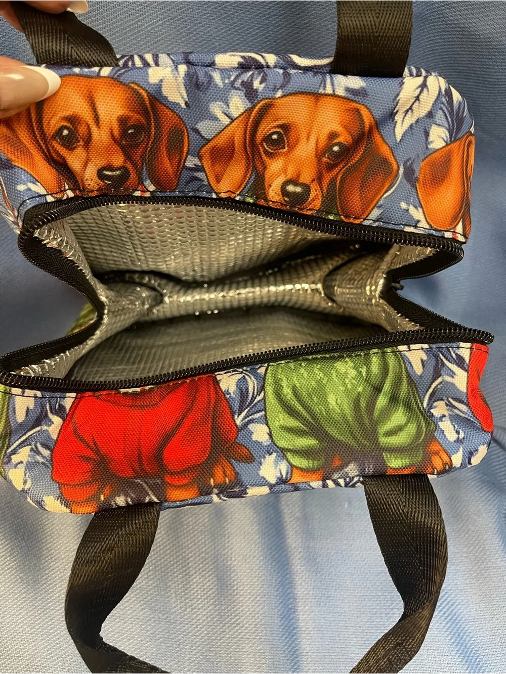 Dachshunds Small Insulated Lunch Tote